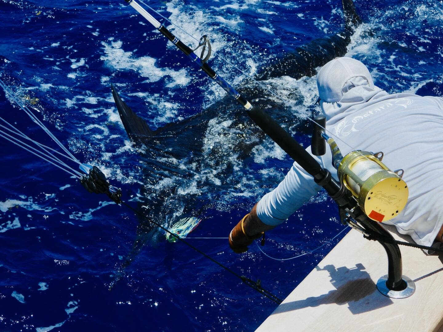 2010 Westport Superyacht