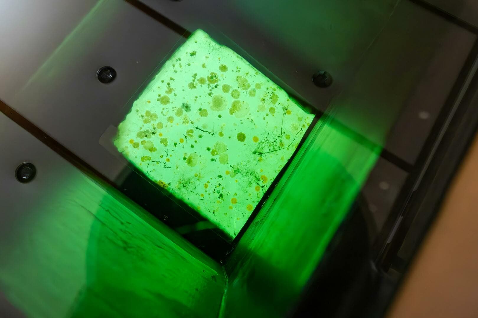 1974 Willard Boat Works Custom