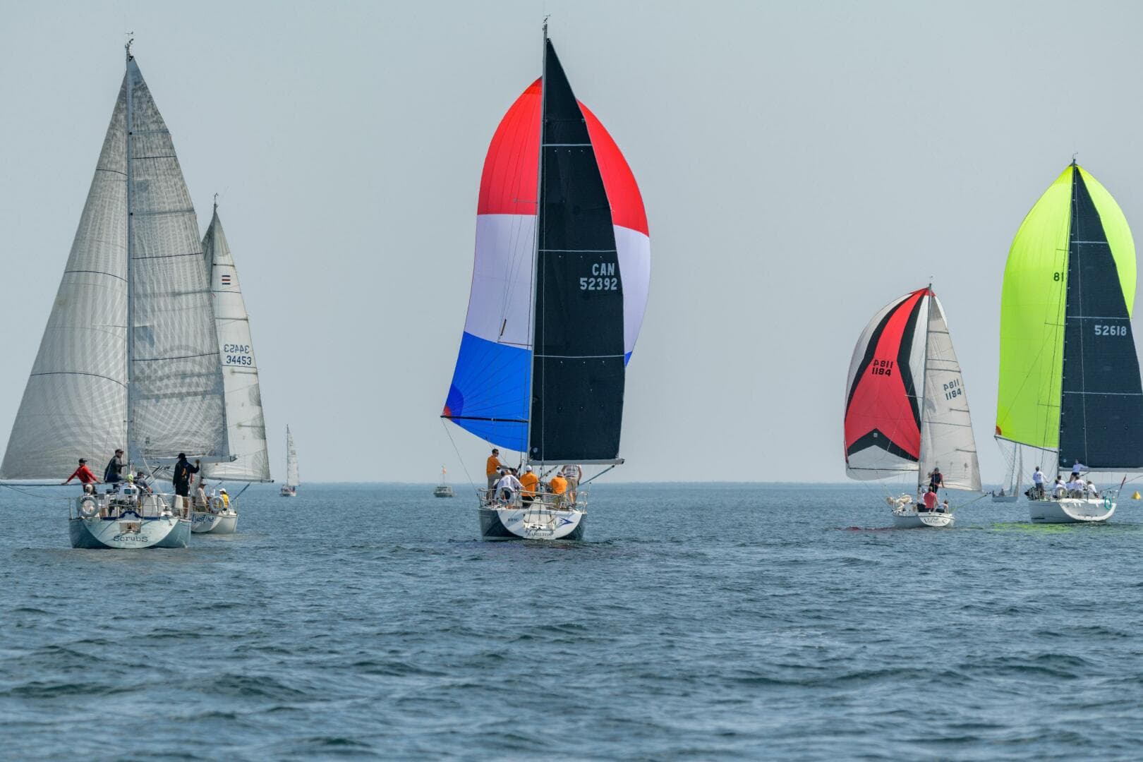 2006 Beneteau First 36.7