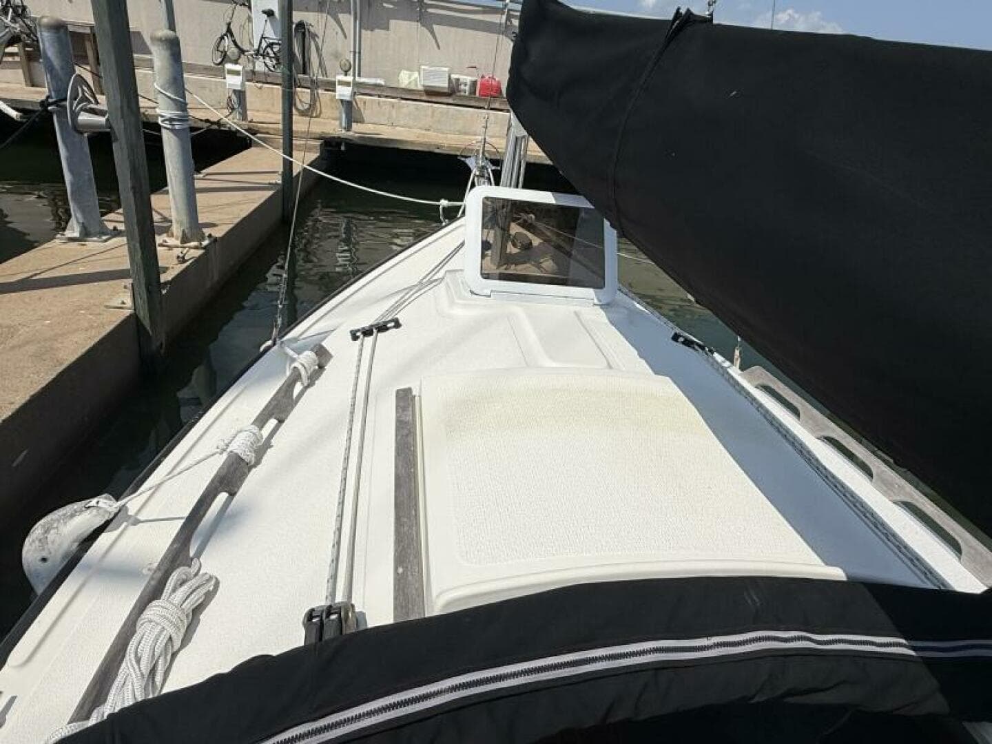 Horizon Cat cabin top