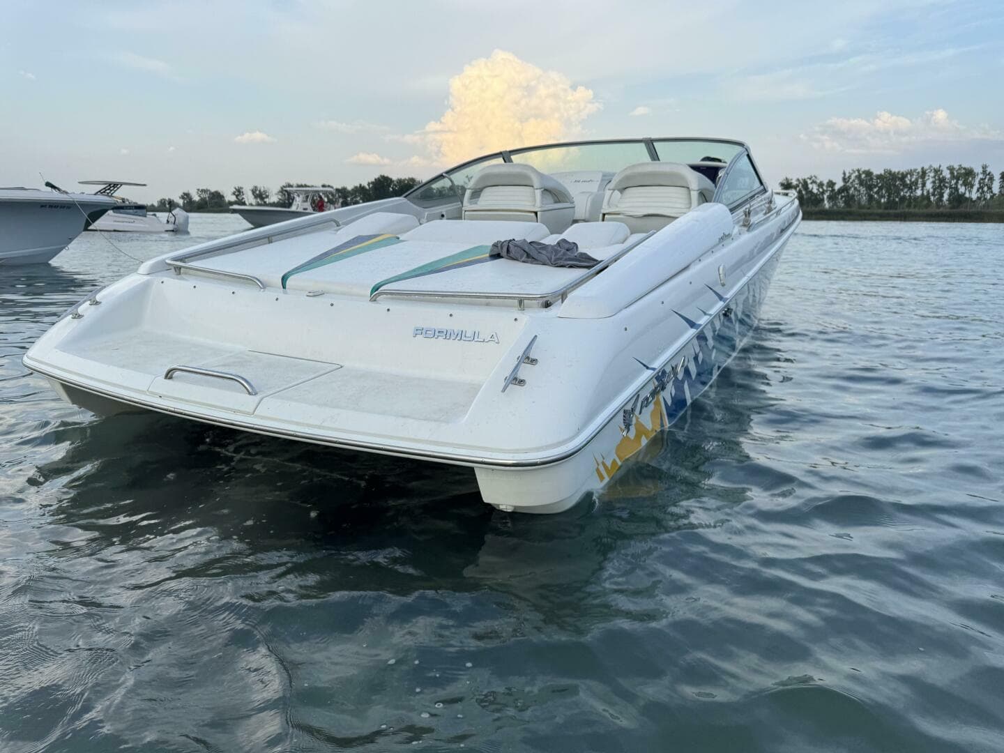 Formula 312 FASTech Swim Platform