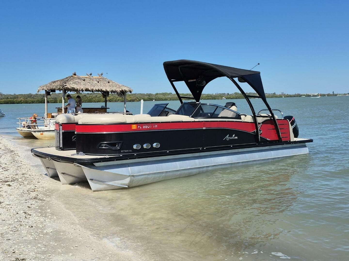 2017 Avalon 2785 Catalina QL