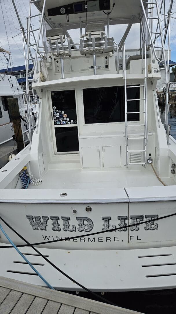 Viking 45 - Wild Life