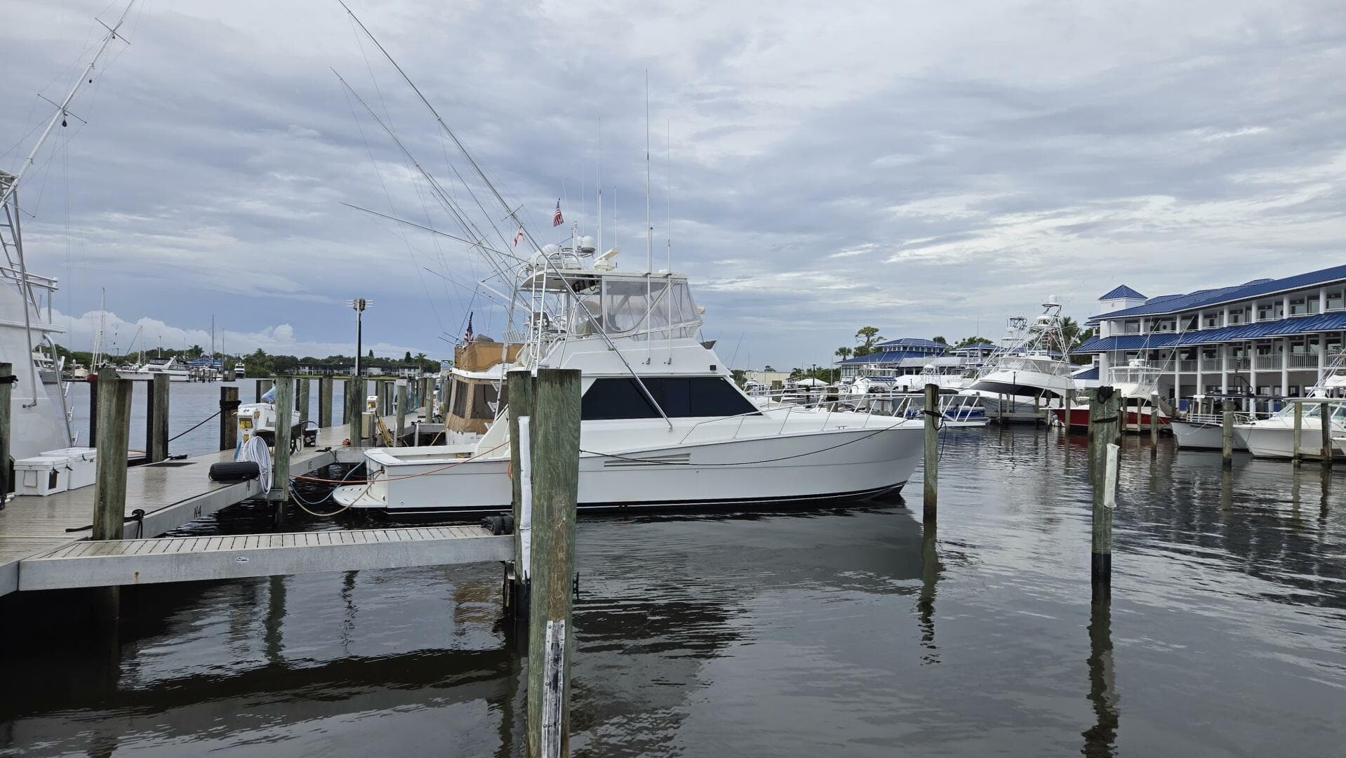 Viking 45 - Wild Life