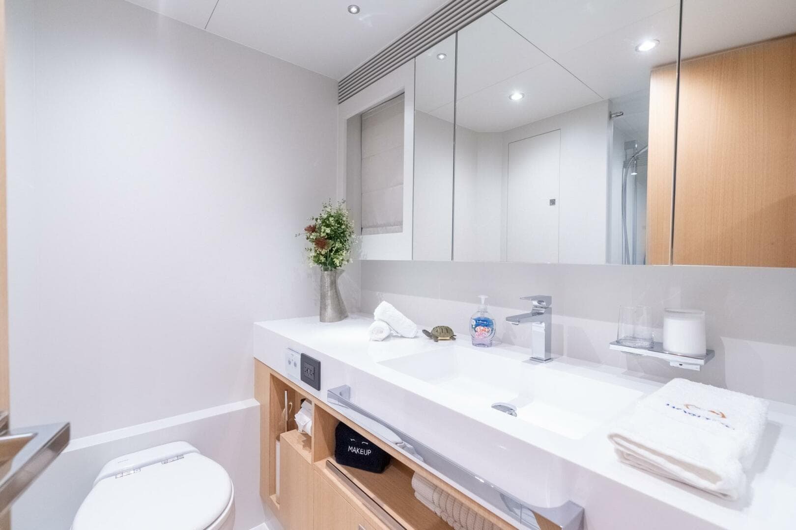 Horizon FD80 SHERI LYNN - Guest Stateroom Queen Ensuite Head