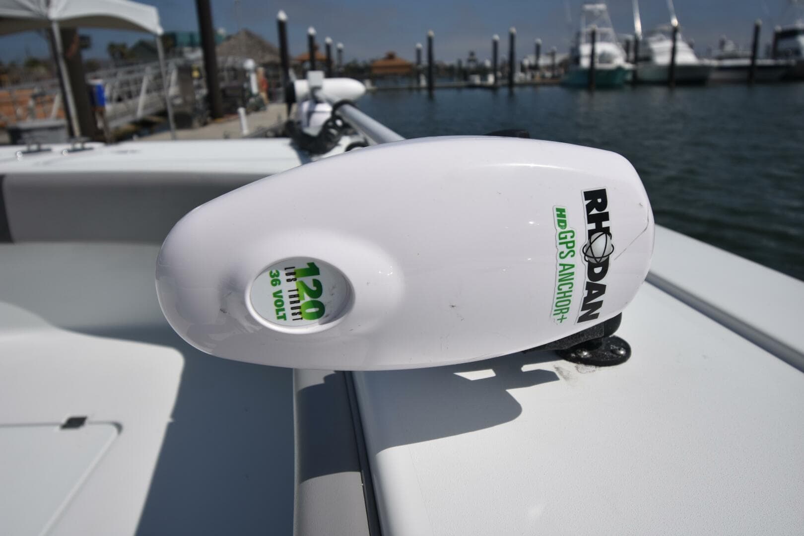 2024 Freeman 47 Tournament "Geaux Fisch"