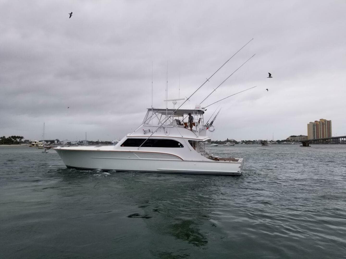 2001 Buddy Davis SPORTFISH