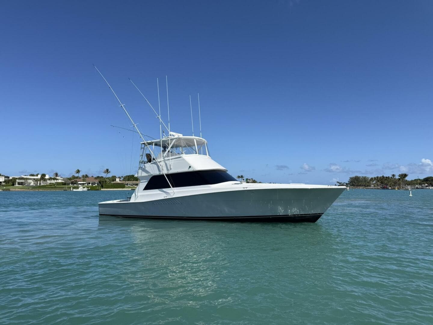 Viking 50 REEL LEGACY - Starboard Profile