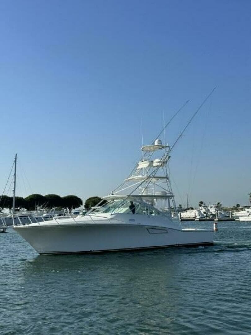 2006 Cabo 40 Express - BUZZ CATCHER