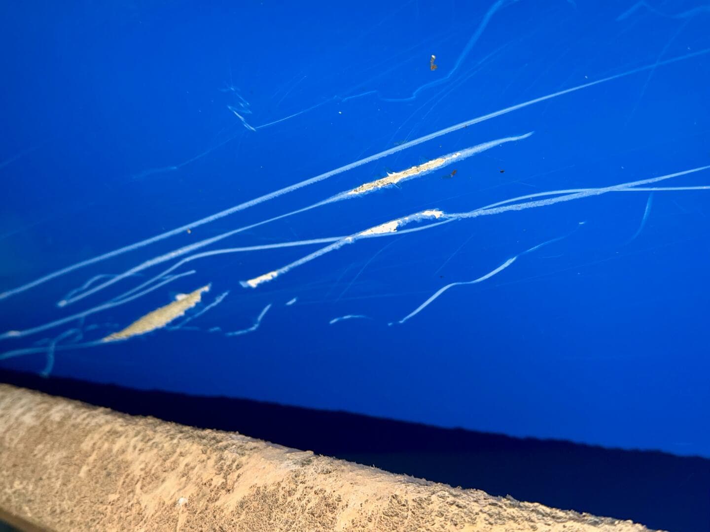 2006 Correct Craft Air Nautique SV-211 Team Edition