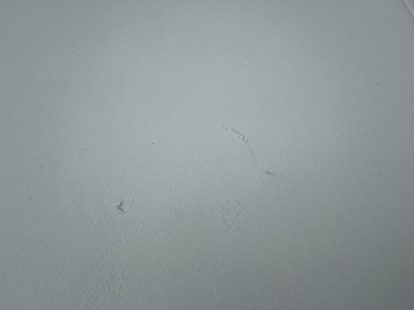 2023 Chaparral 21 SSi Ski & Fish