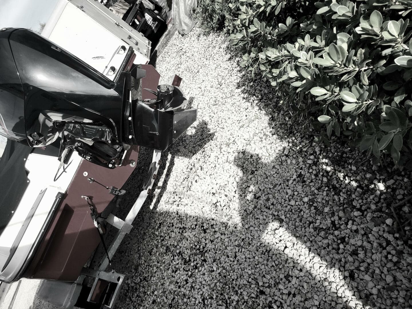 2022 Bayliner Element M17