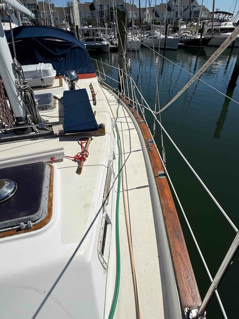 Starboard deck & solar panel covered