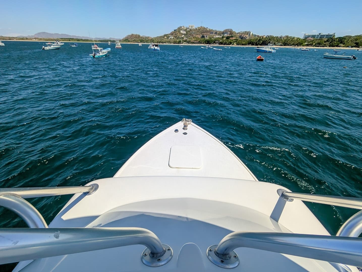 1973 Bertram Sportfisher