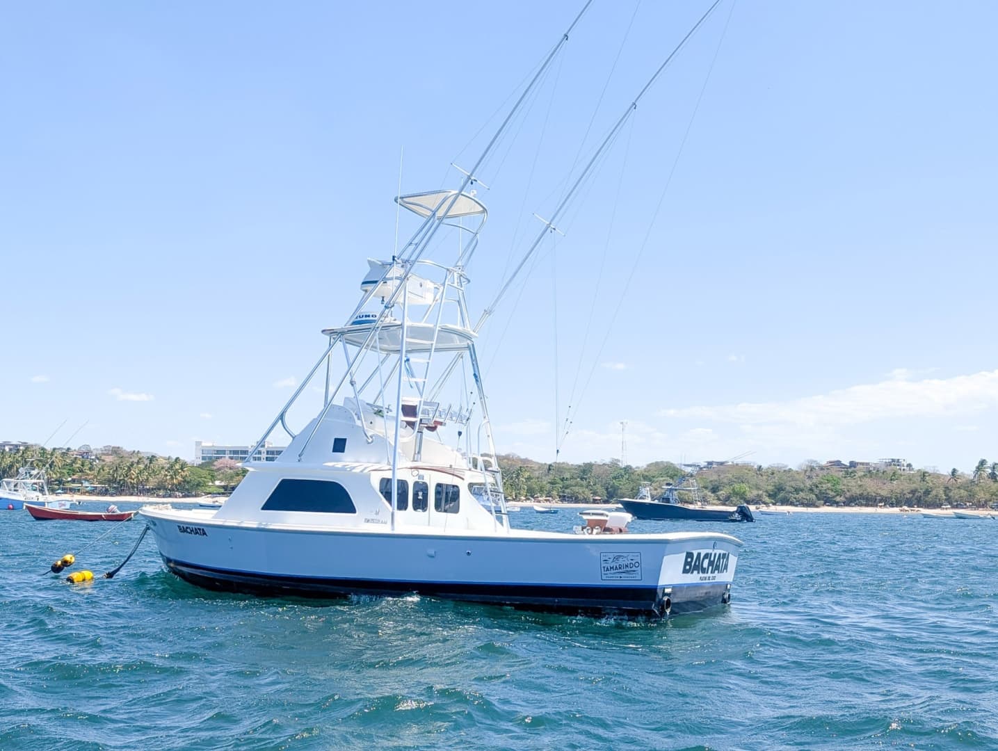 1973 Bertram Sportfisher