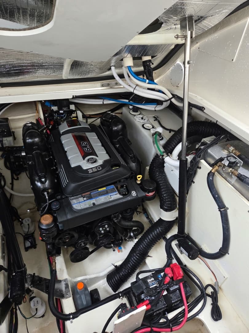 2018 Sea Ray 350 Sundancer Coupe