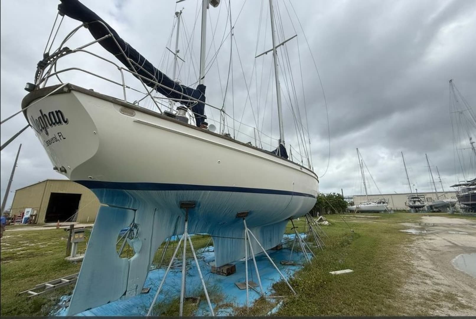1981 Shannon 50