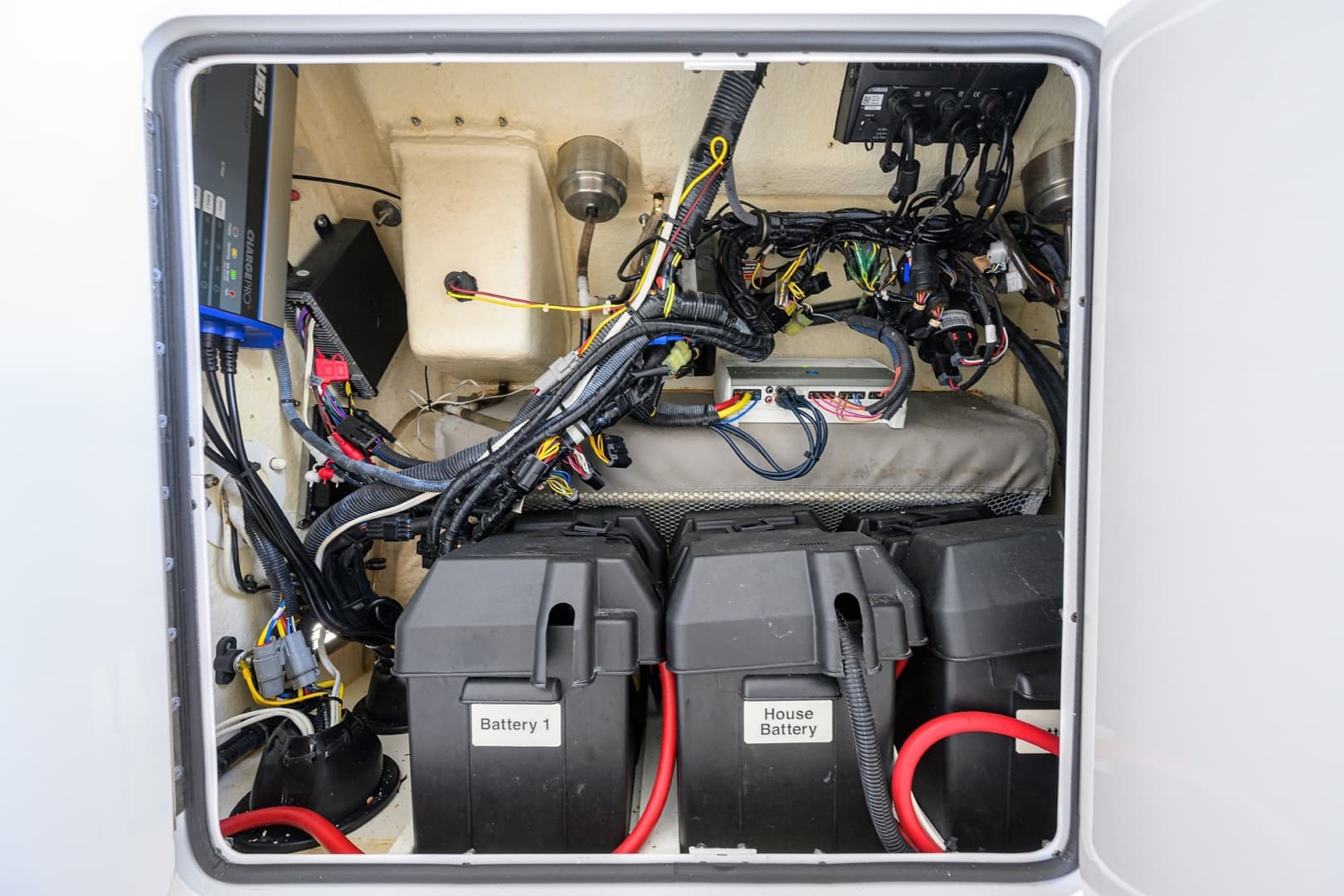 Regulator 31   Sweet Melissa 