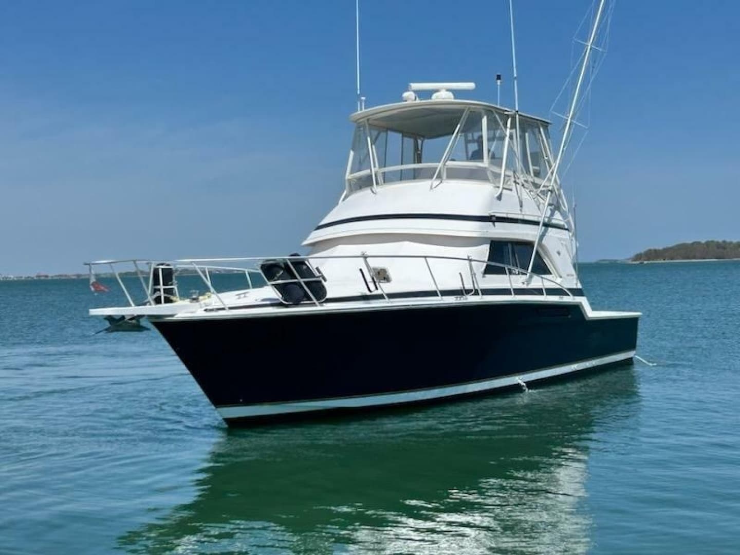 1995 Bertram 