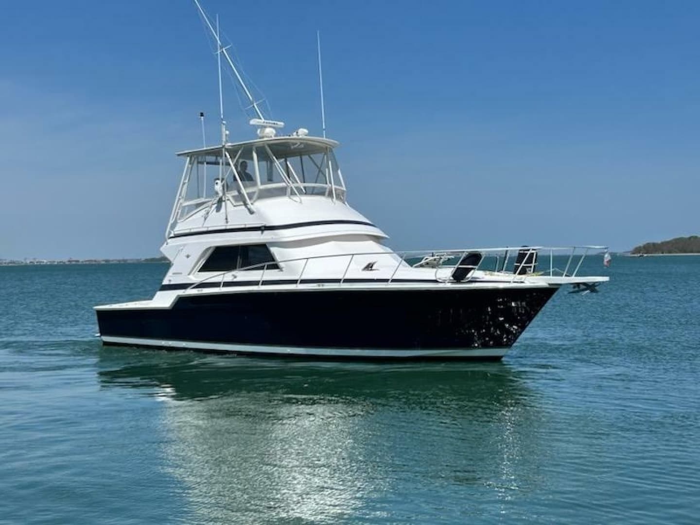 1995 Bertram 