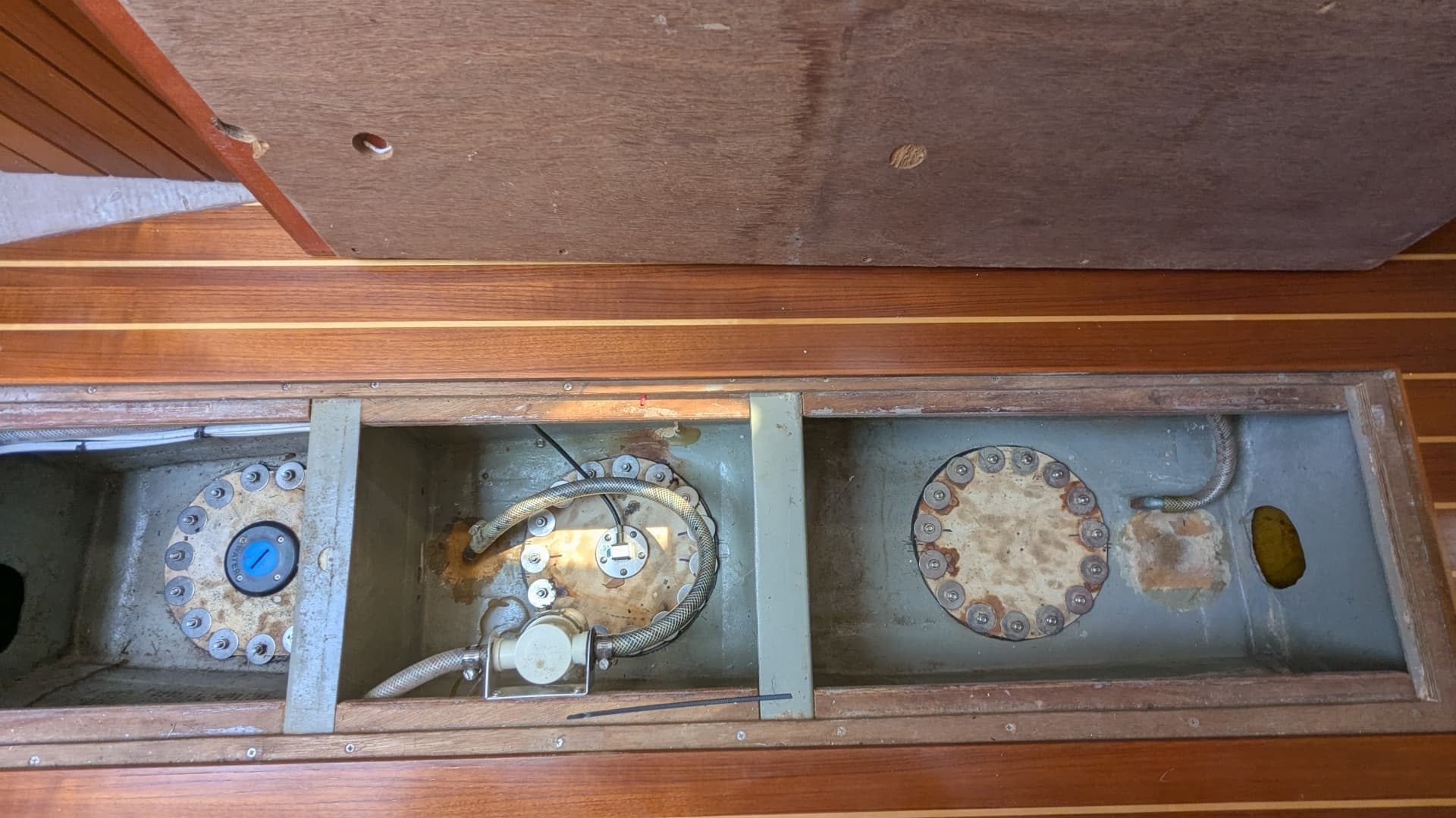 1962 Chesapeake Rhoades  32