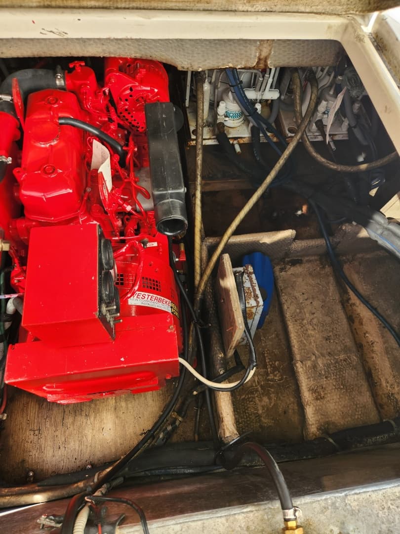 1987 Luhrs Convertible