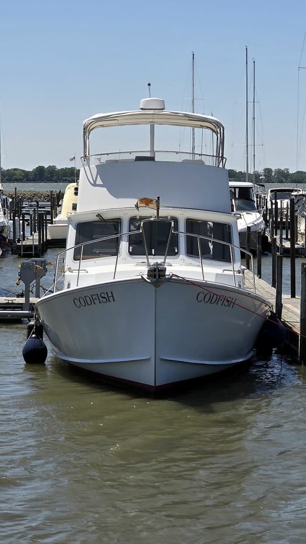 Bow Profile