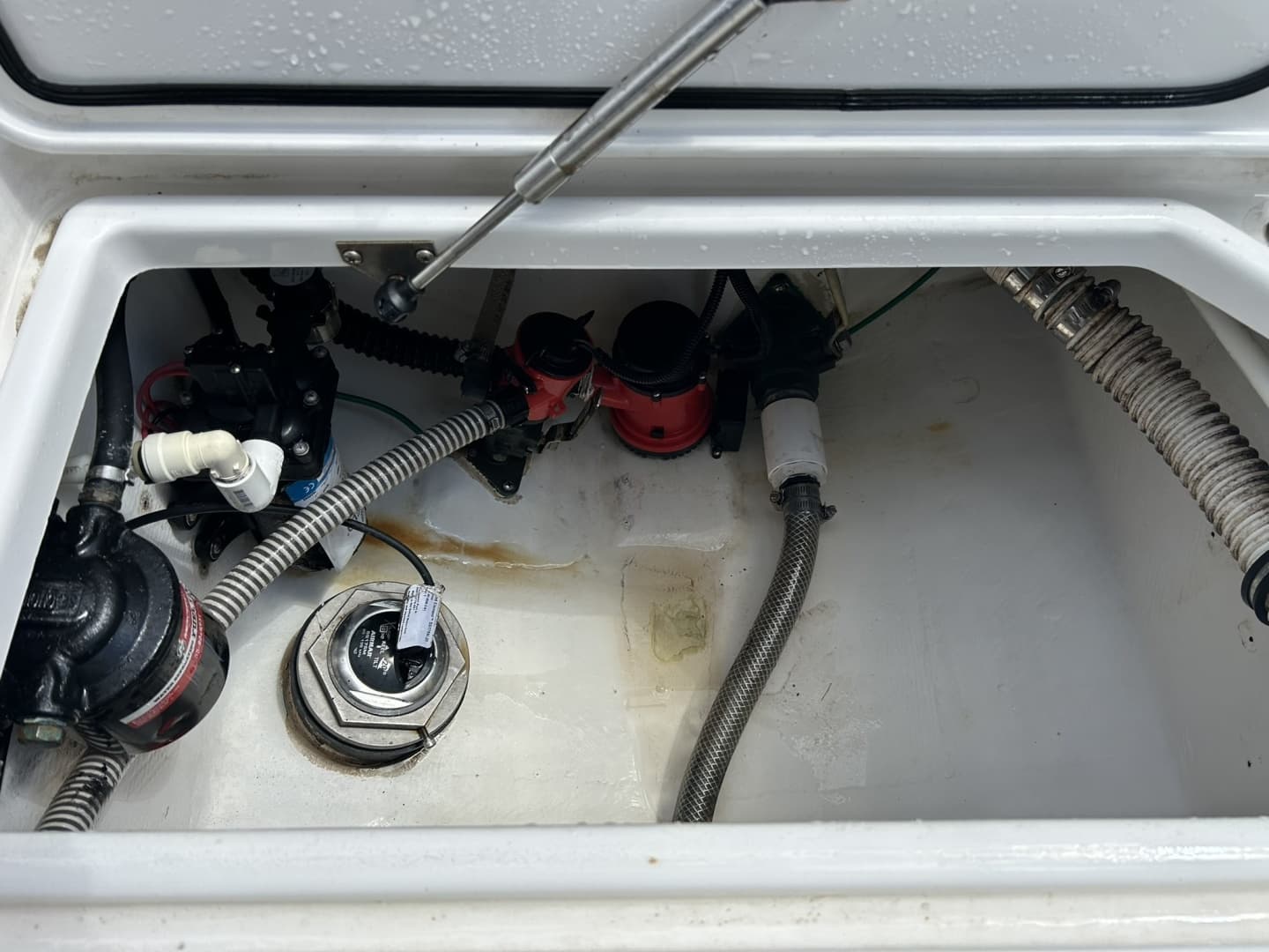 2019 Reef Runner 230XS