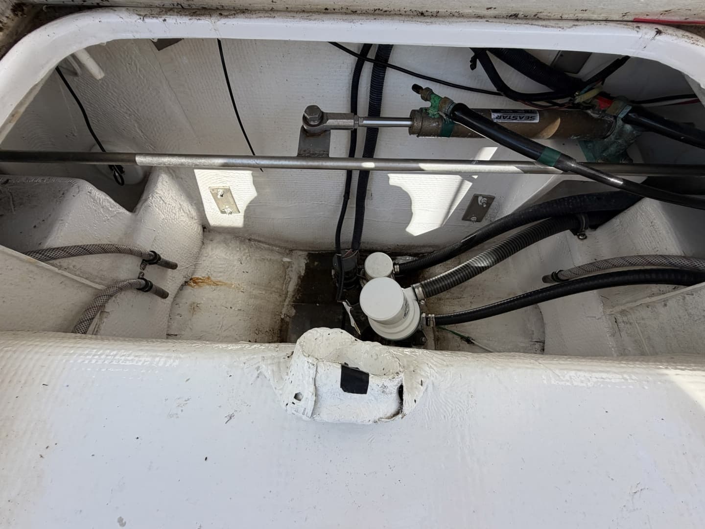 1977 Bertram 31 Flybridge