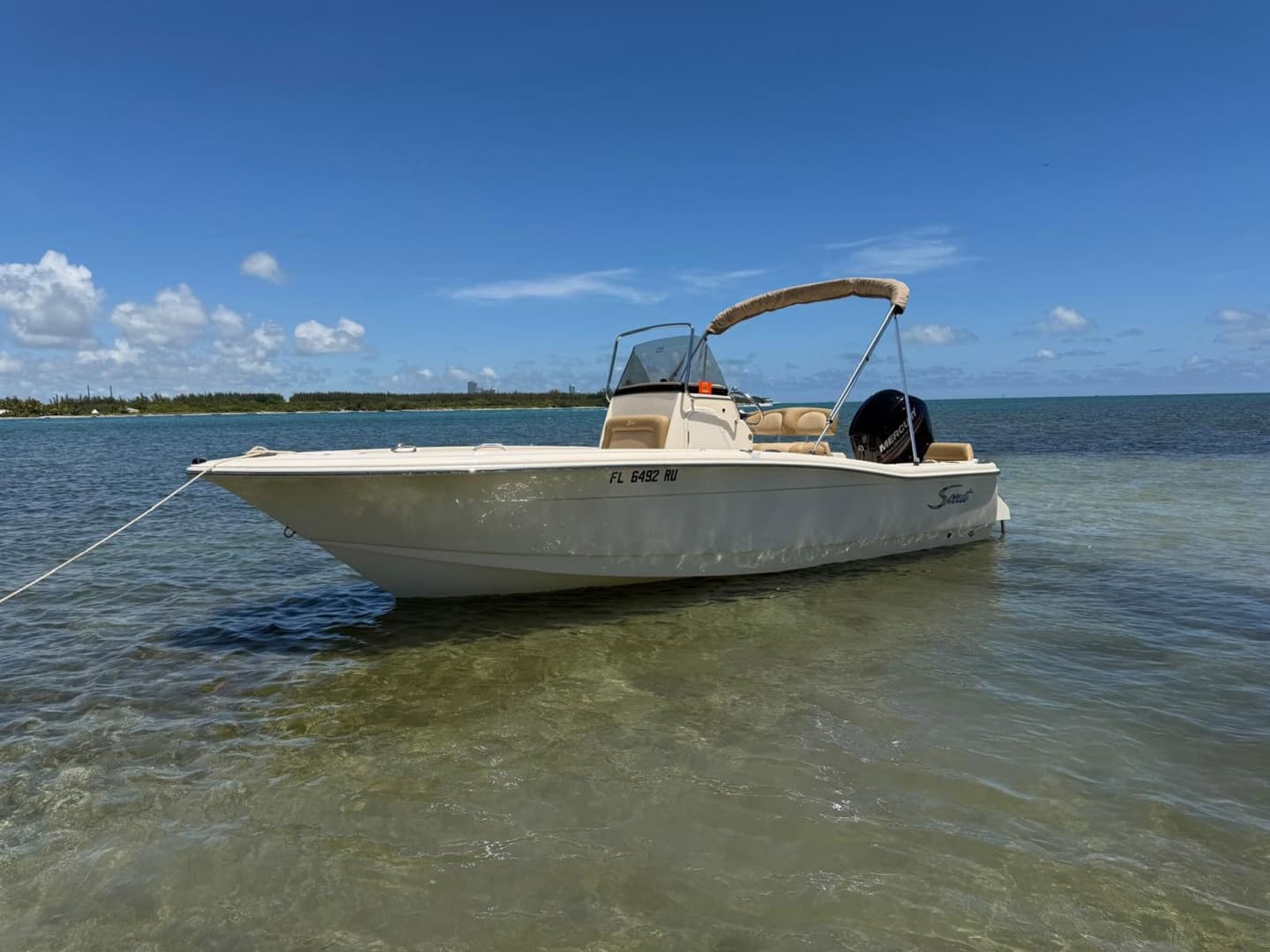 2019 Scout 195 Sportfish