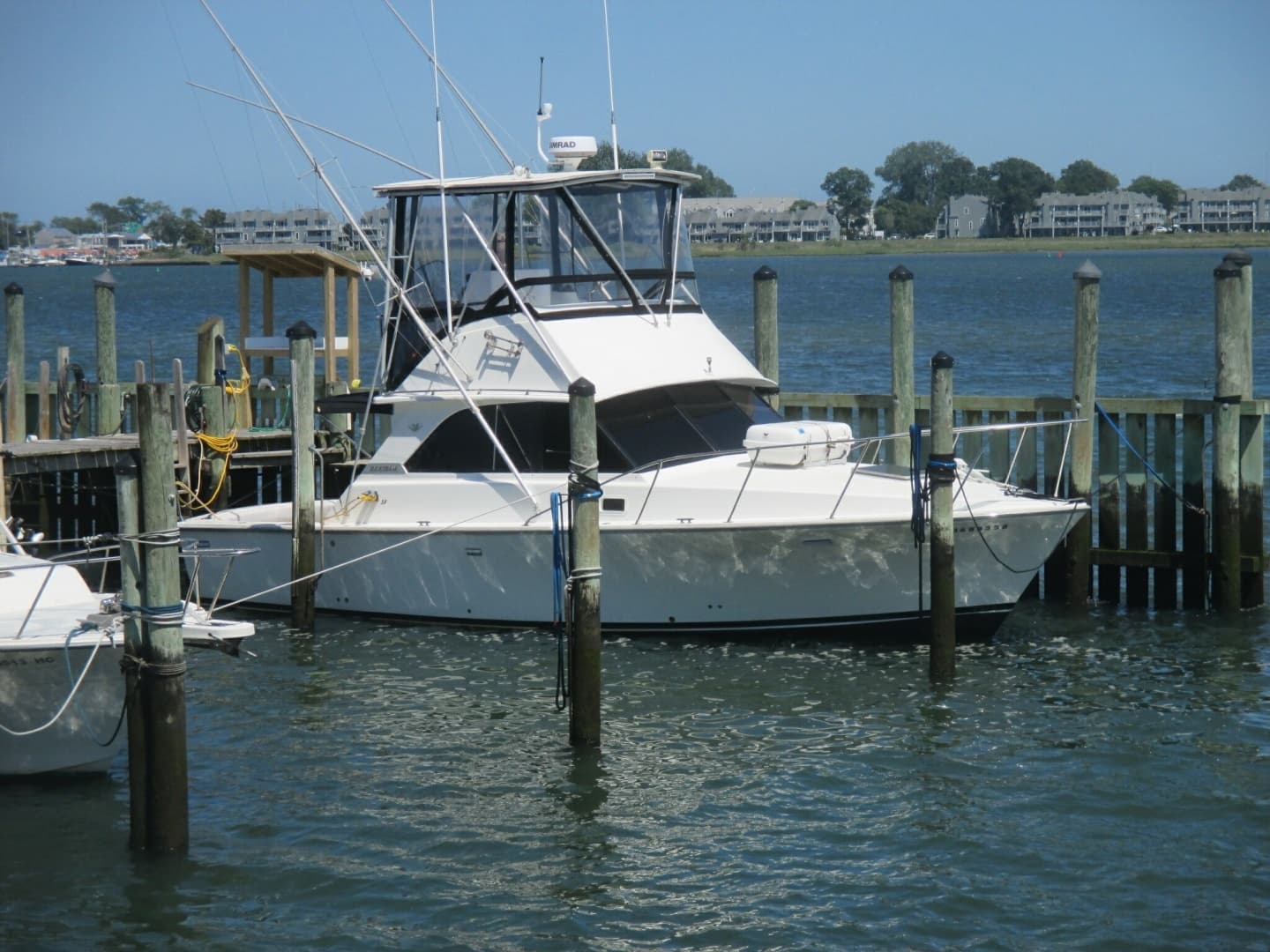 1984 Bertram 35 Convertable