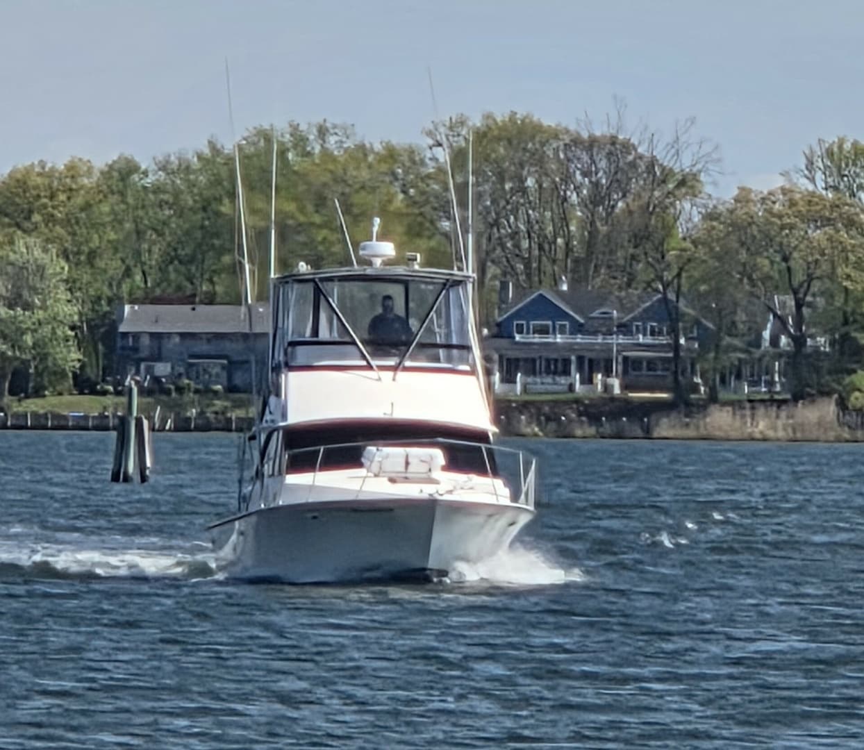 1984 Bertram 35 Convertable