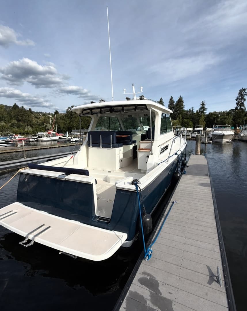 2008 Back Cove 33