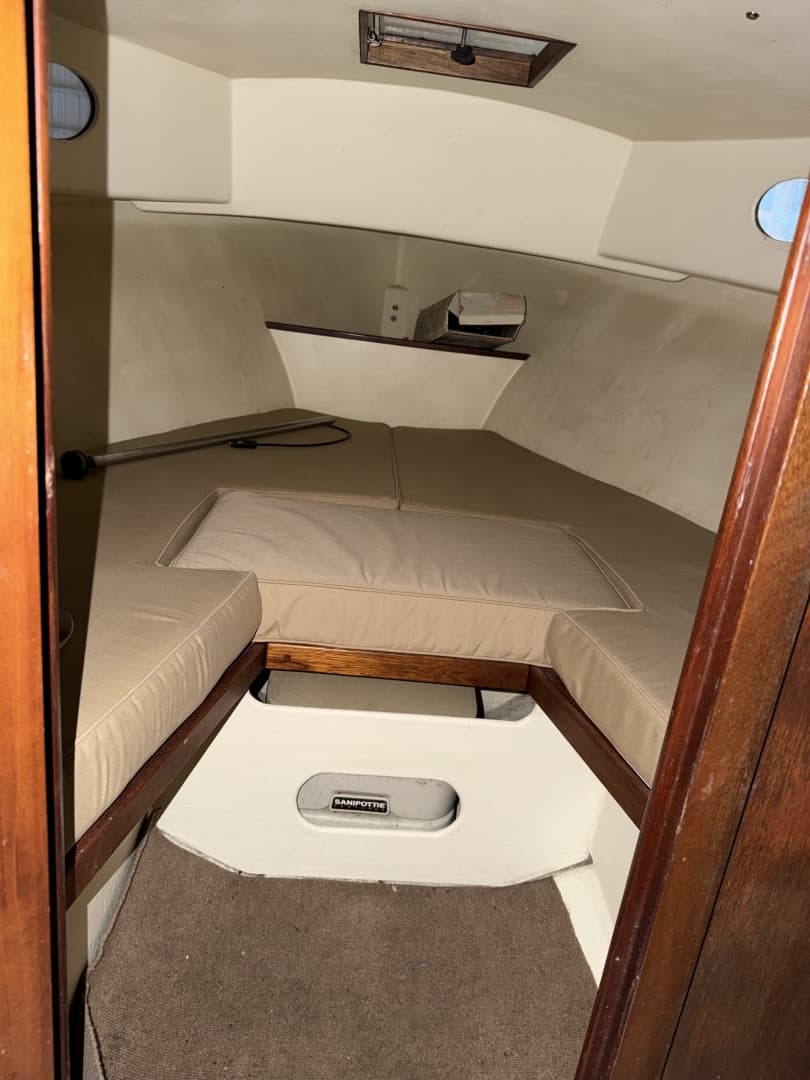 Cabin with cushioned berths