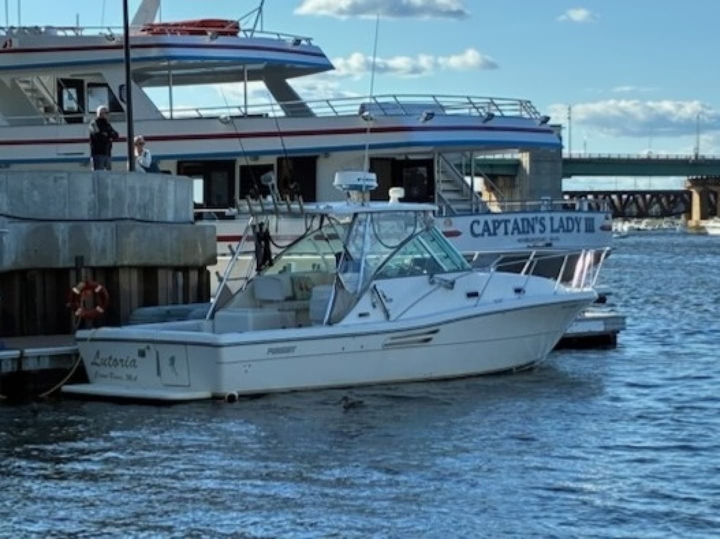 Dockside Starboard