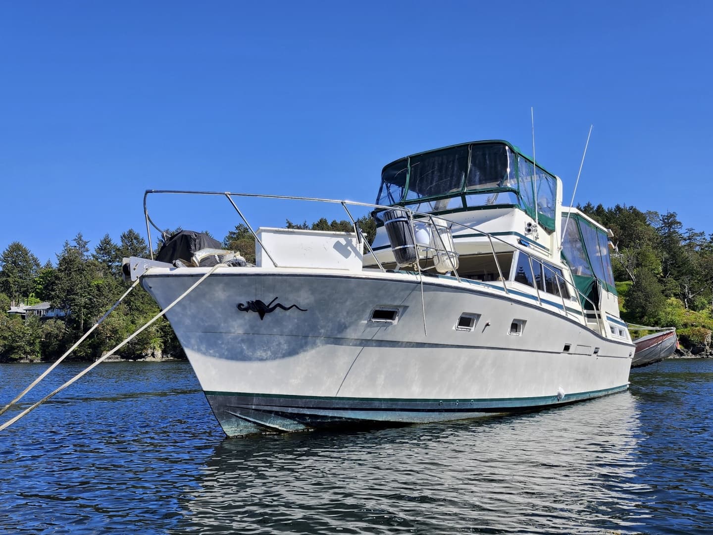 1977 Viking 43