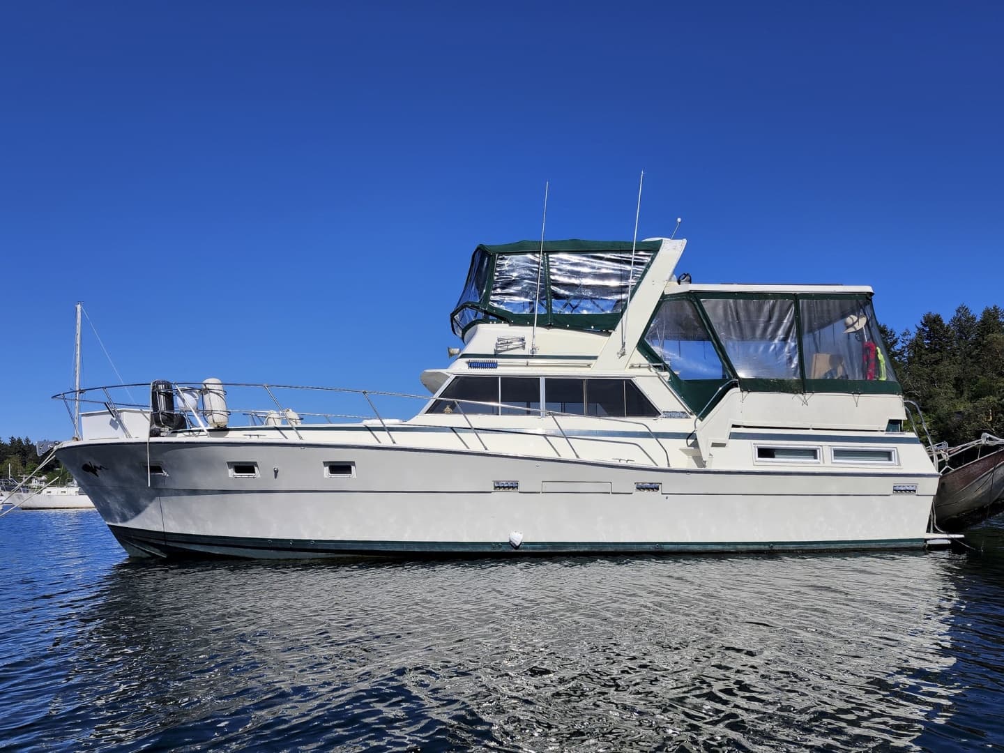 1977 Viking 43