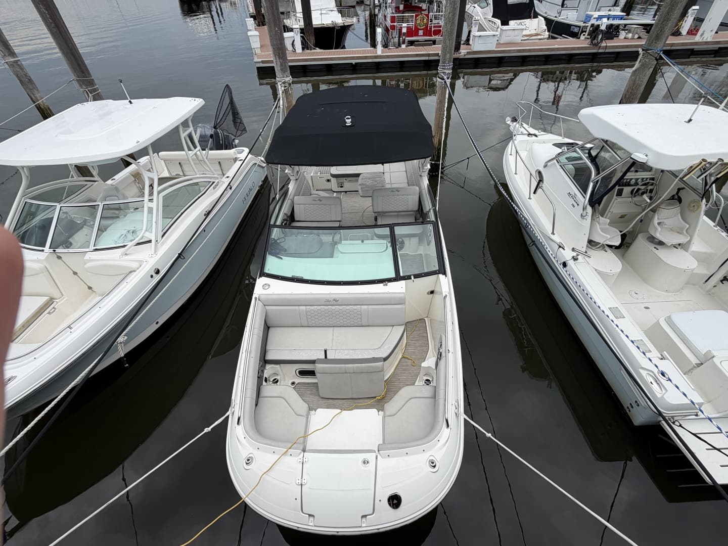 2023 Sea Ray 250 Outboard
