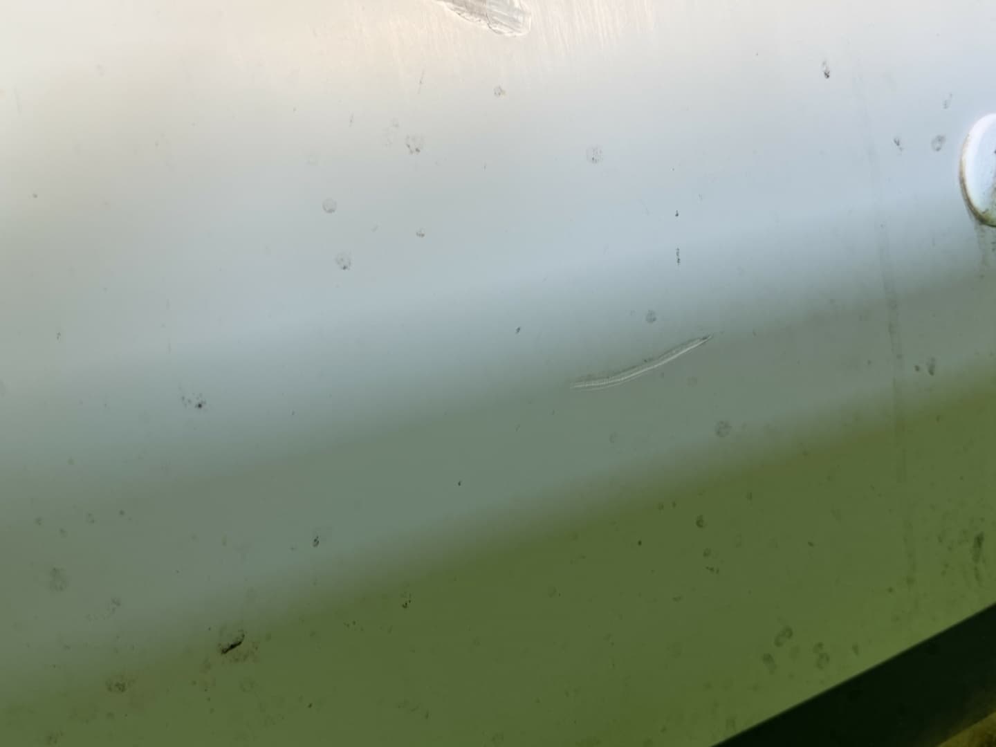1996 Carver 310 Mid Cabin Express