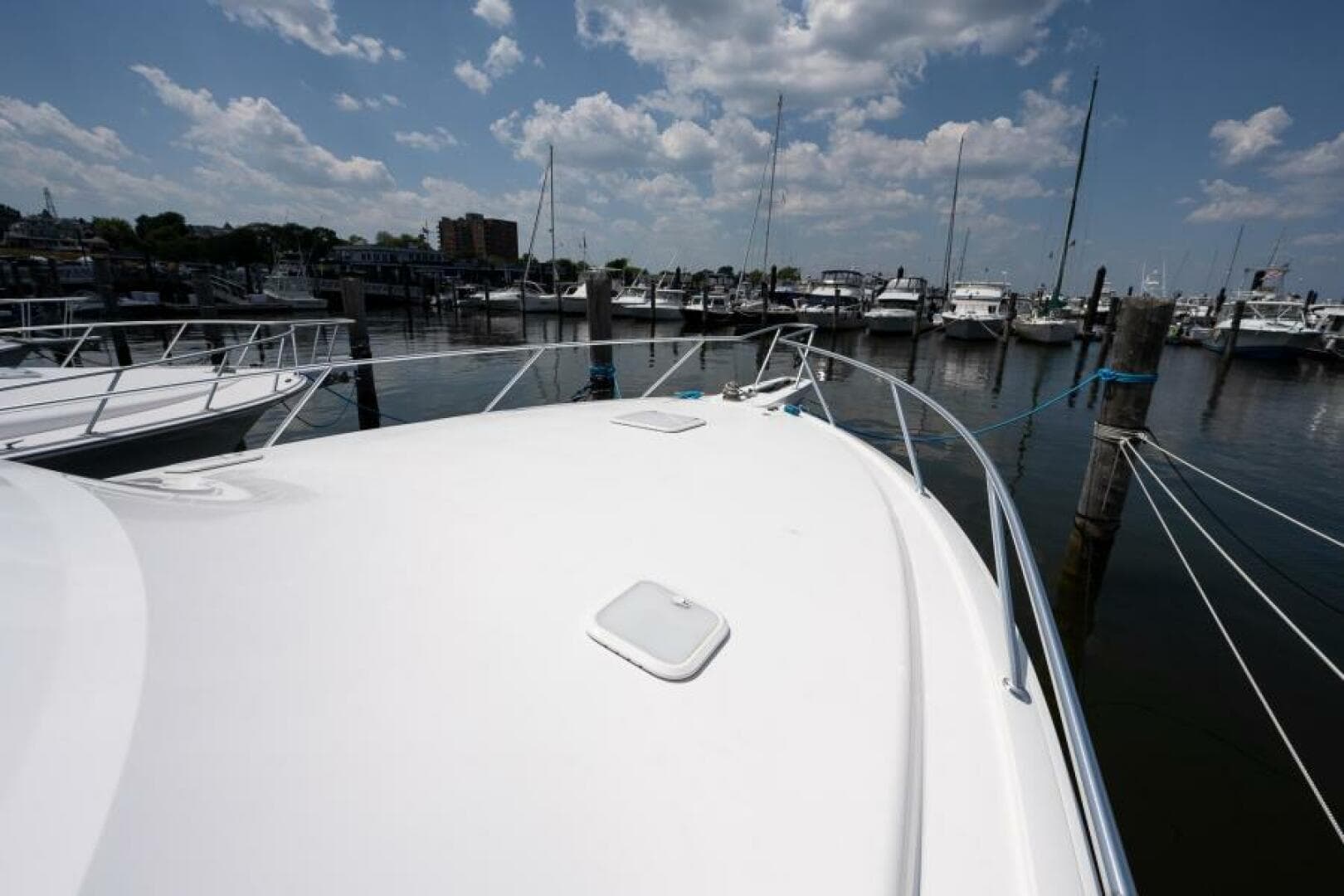 Viking 42 - Drop'Em - Bow