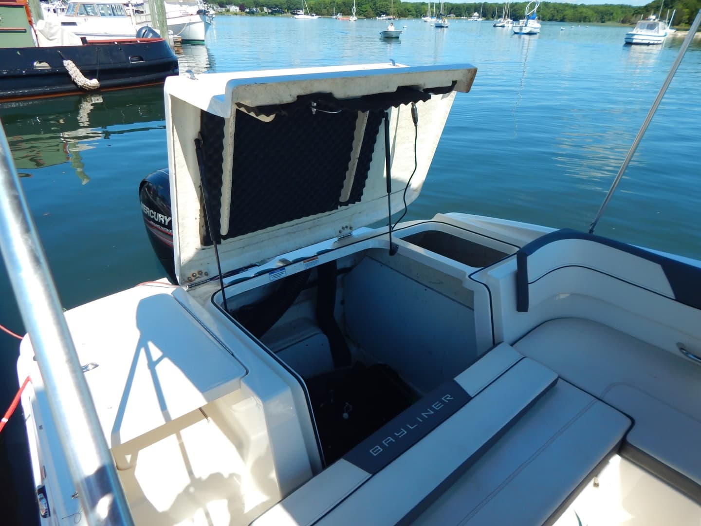 2017 Bayliner VR5