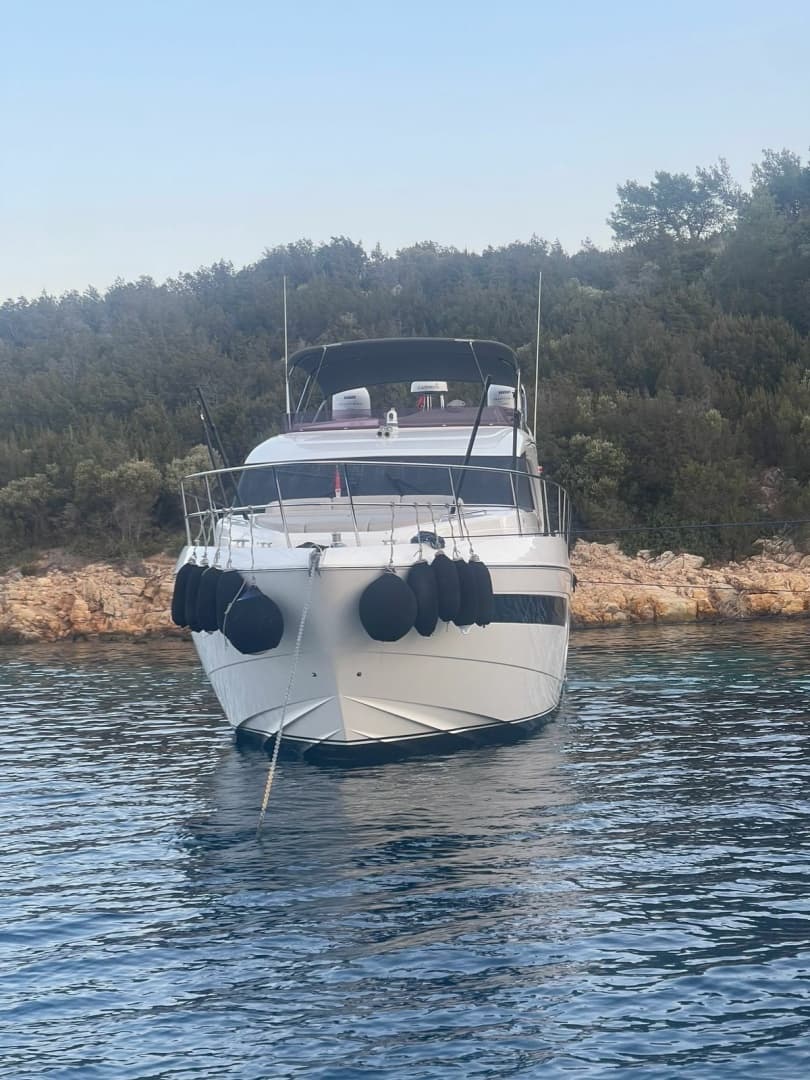 2019 Princess 