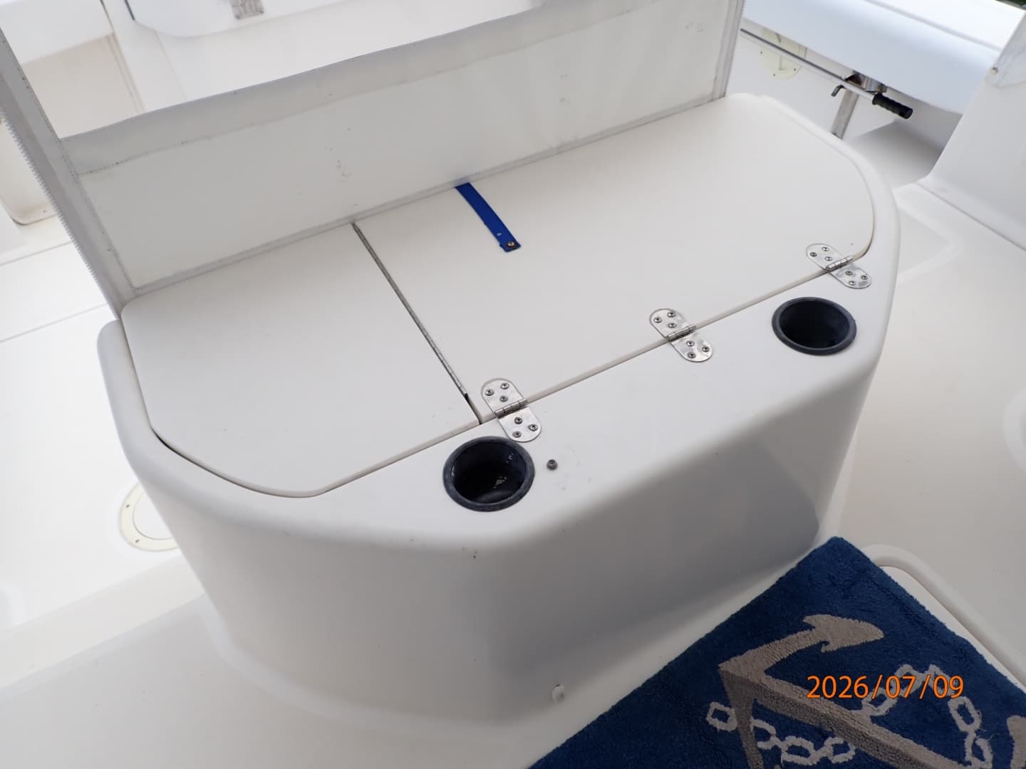30' Pursuit cockpit livewell-sink
