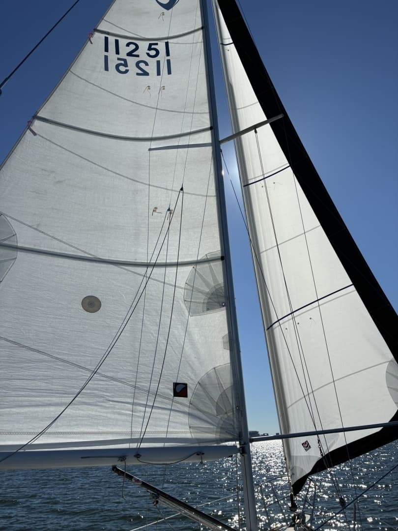 1991 Tartan 28 Piper