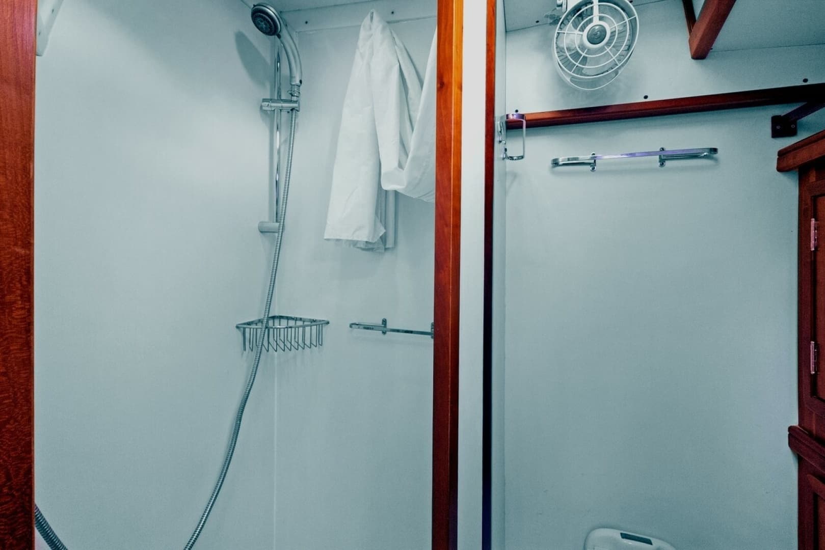 2010 Shannon 