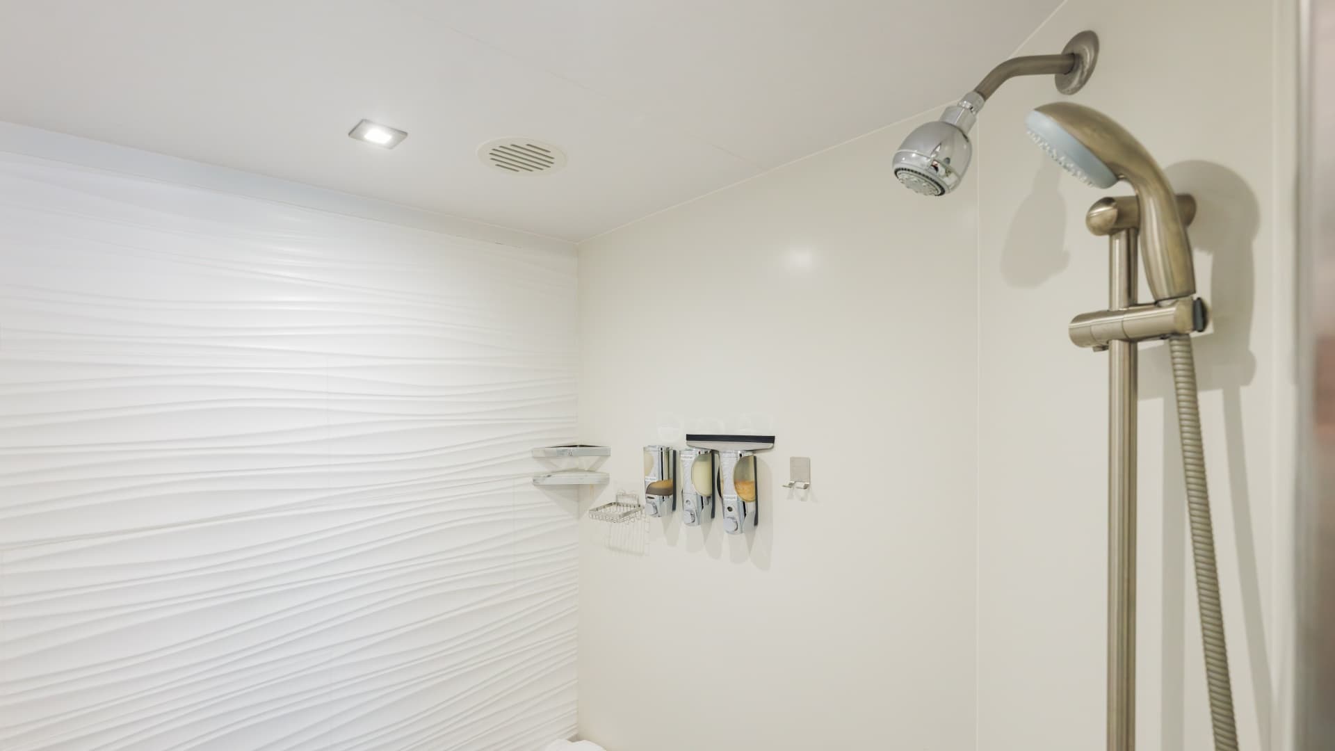 Huge Master Shower