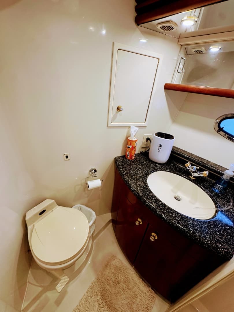 1999 Carver 450 Voyager Pilothouse