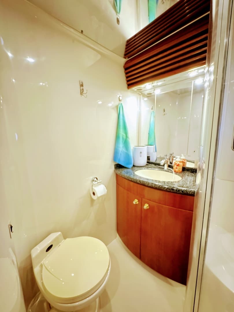 1999 Carver 450 Voyager Pilothouse