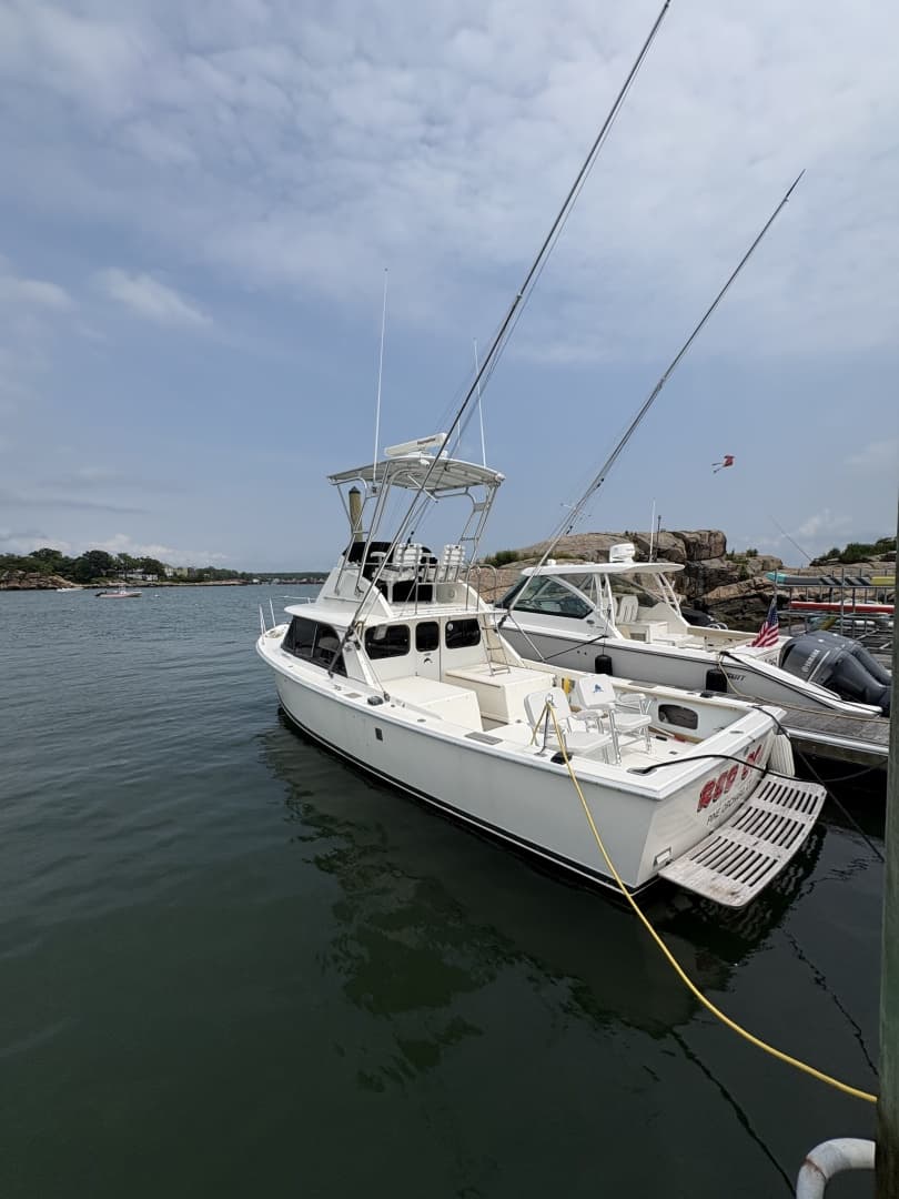 1972 Bertram 31