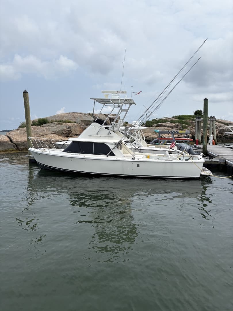 1972 Bertram 31